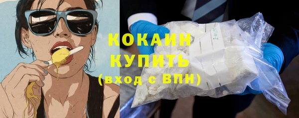 spice Козельск