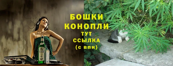дмт Козловка