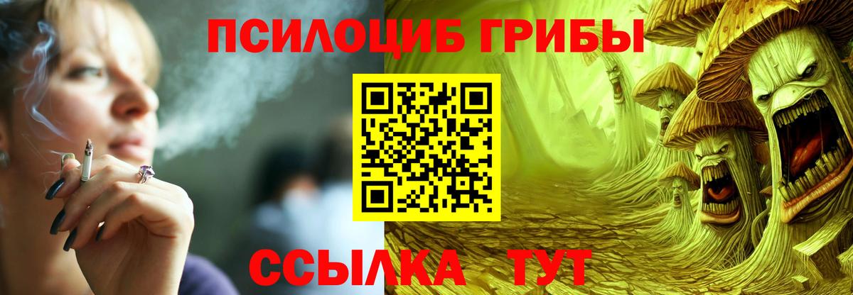 Псилоцибиновые грибы ЛСД Михайловка