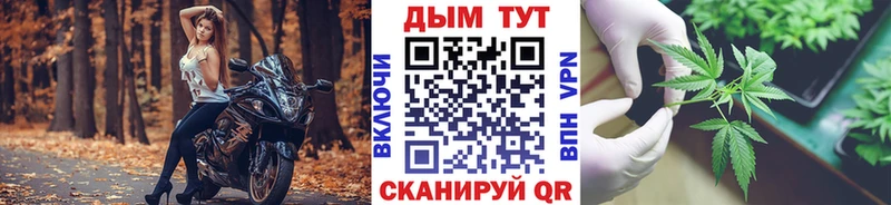 закладка Михайловка Бошки Шишки тримм